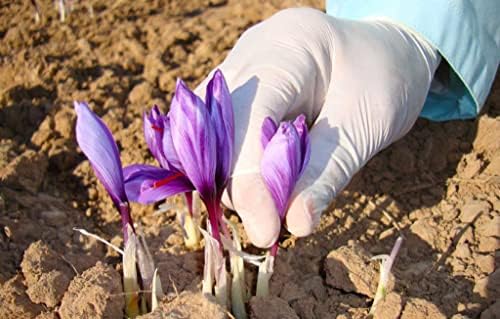 Vue 5 de Gourmetia Safran Gramme Safran