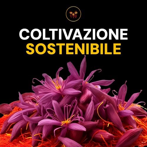 Vue 7 de Safranwunder Fils De Safran