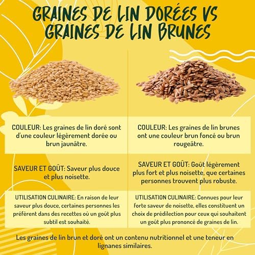 Vue 6 de Graine De Lin Dore