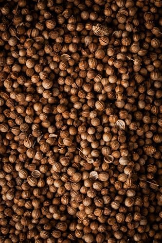 Vue 5 de Biojoy Graines De Coriandre