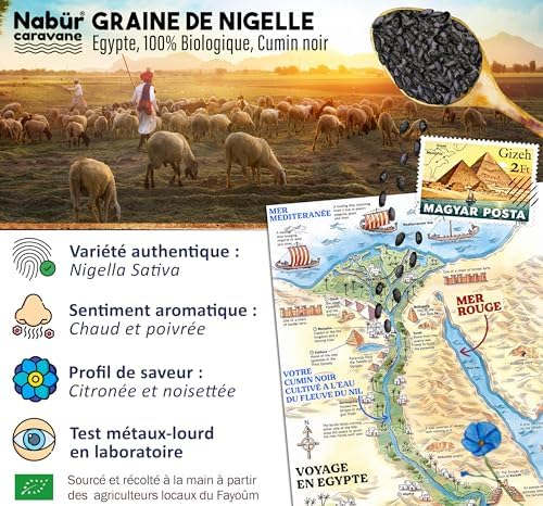 Vue 2 de Nabur Gr Graine De