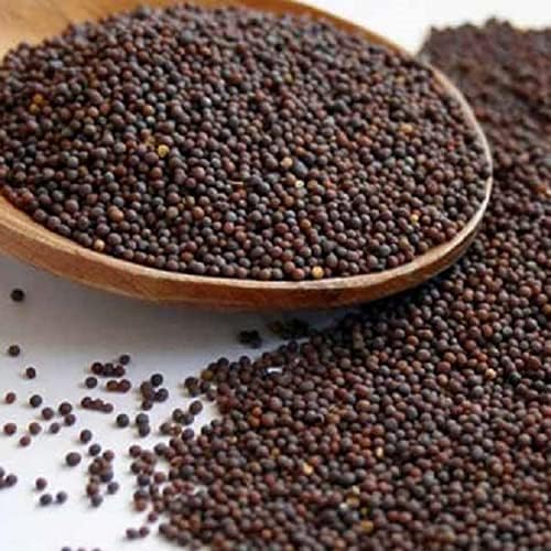 Vue 3 de Graines De Moutarde Brunes