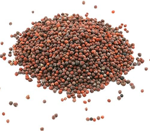 Vue 4 de Graines De Moutarde Brunes