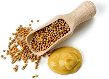 Vue 2 de Moutarde Jaune En Graines