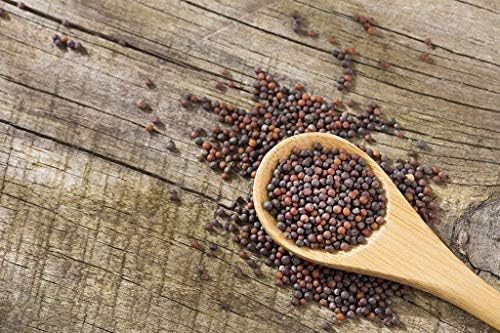 Vue 3 de Plantes Epices Graine De