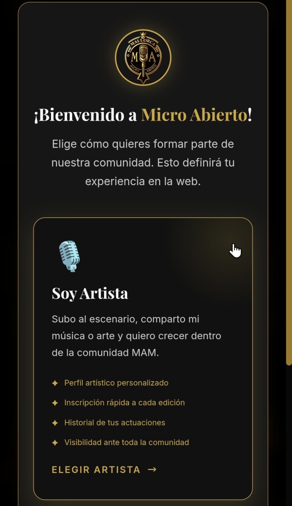 Seleccionar perfil Artista