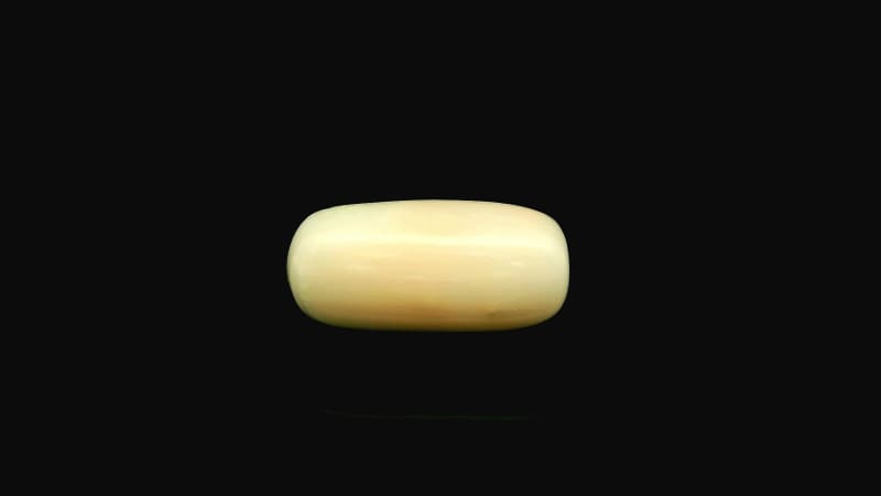 Natural White Coral / Moonga 4.70 cts
