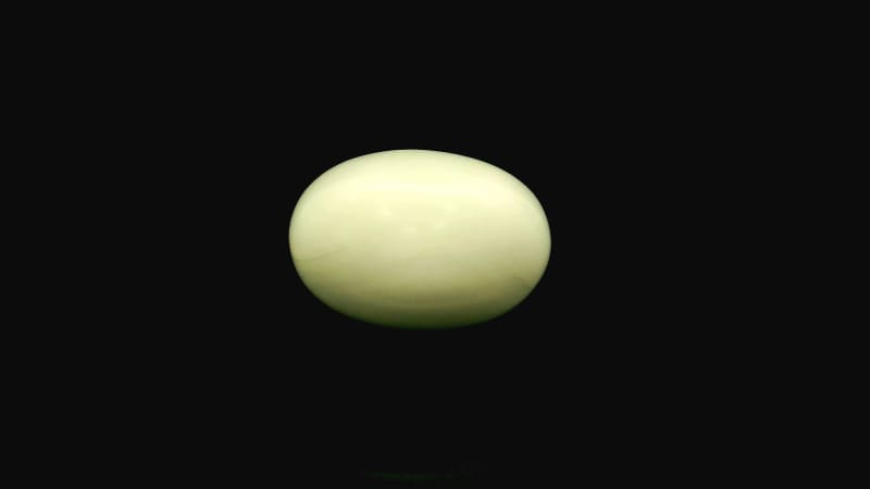Natural White Coral / Moonga 5.85 cts