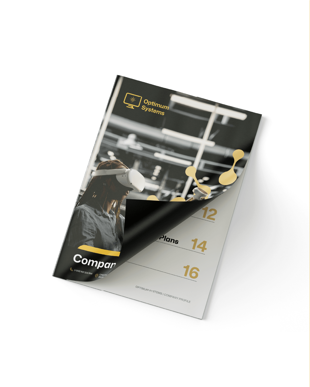 Optimum Systems company profile cover page