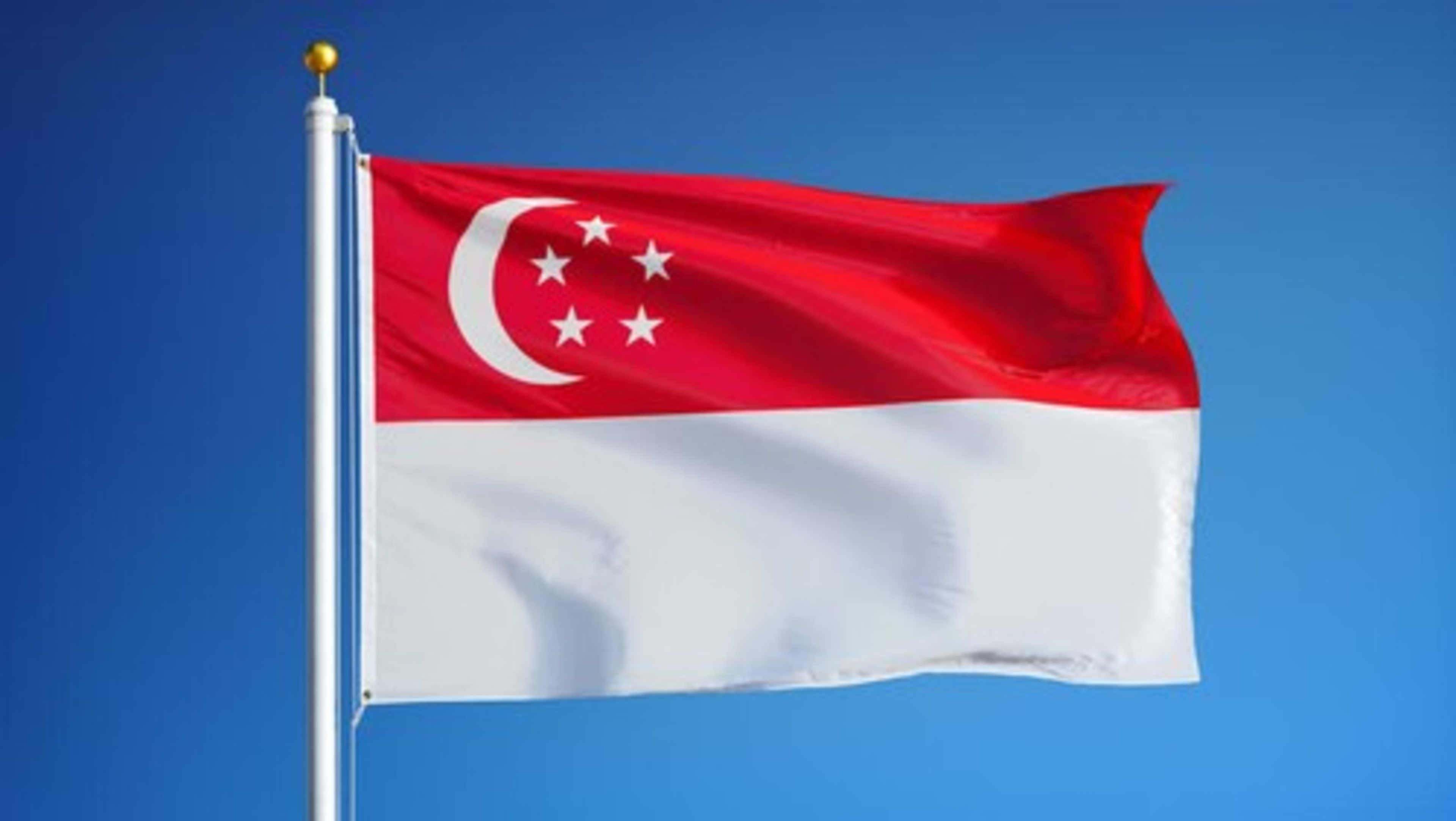 
LỊCH SỬ PHÁT TRIỂN KINH TẾ SINGAPORE, VAI TRÒ CỦA THỂ CHẾ