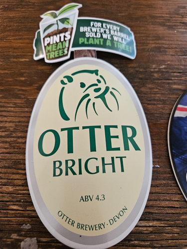 Image of Beer Pump for Beer Otter Bright