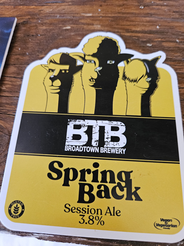Image of Beer Pump for Beer Spring Back