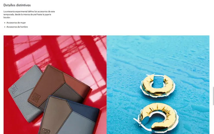 LOEWE — Distinctive details