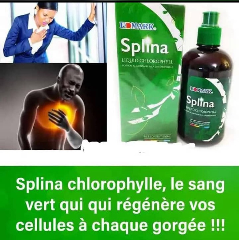 Splina Liguide chlorophylle 2
