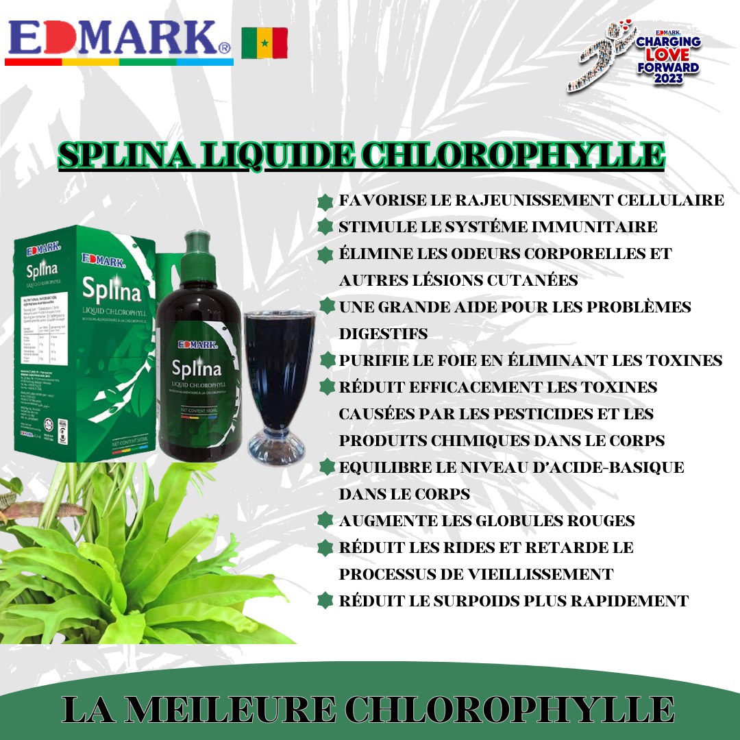 Splina Liguide chlorophylle 3