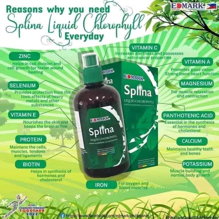 Splina Liguide chlorophylle 4