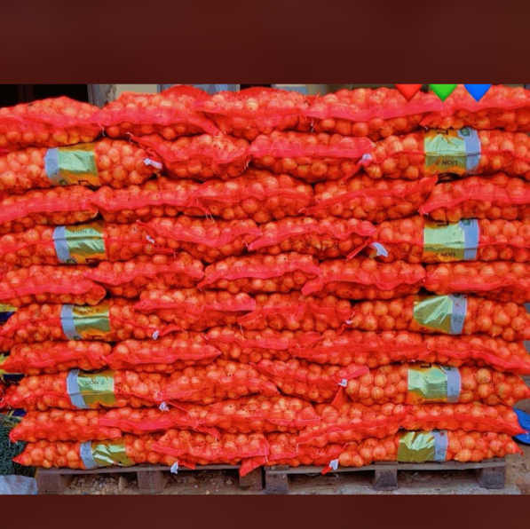 Oignons IMR sac de 25kg