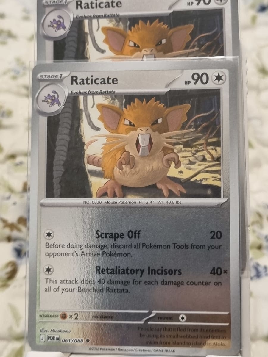 Raticate - Perfect Order