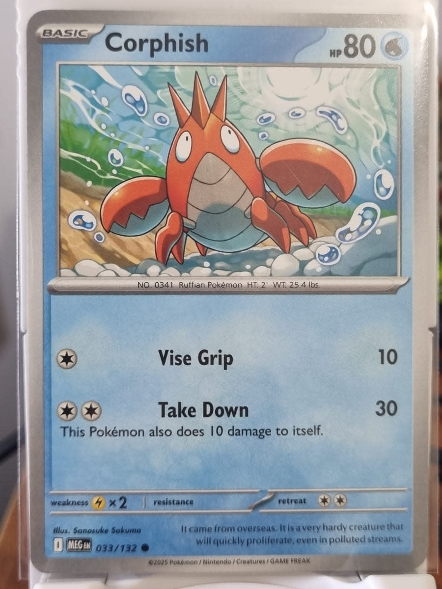 Vista 2