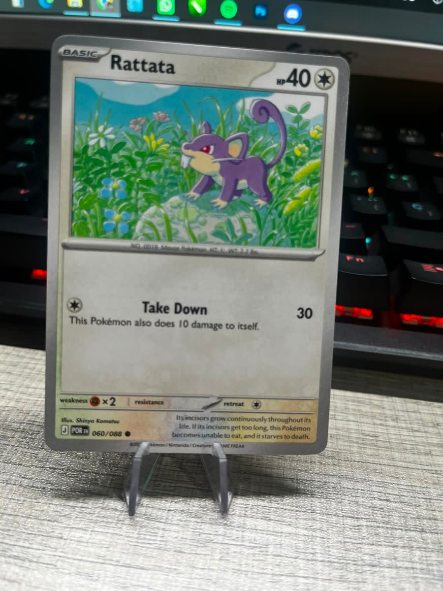 Rattata - Perfect Order