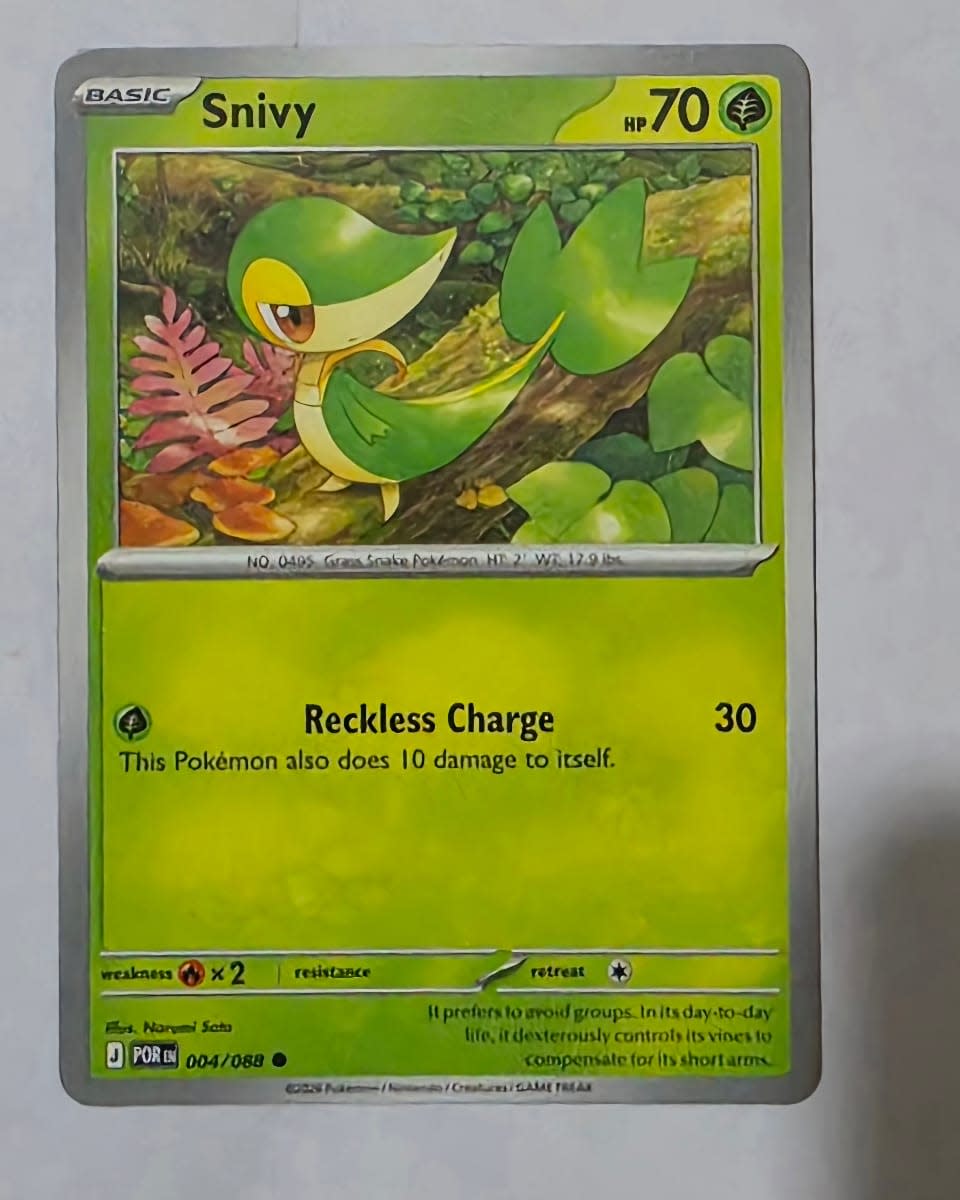 Snivy - Perfect Order