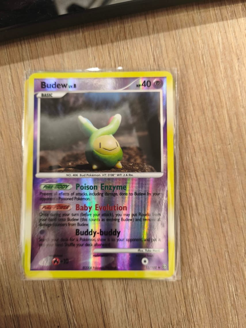 Budew - Stormfront