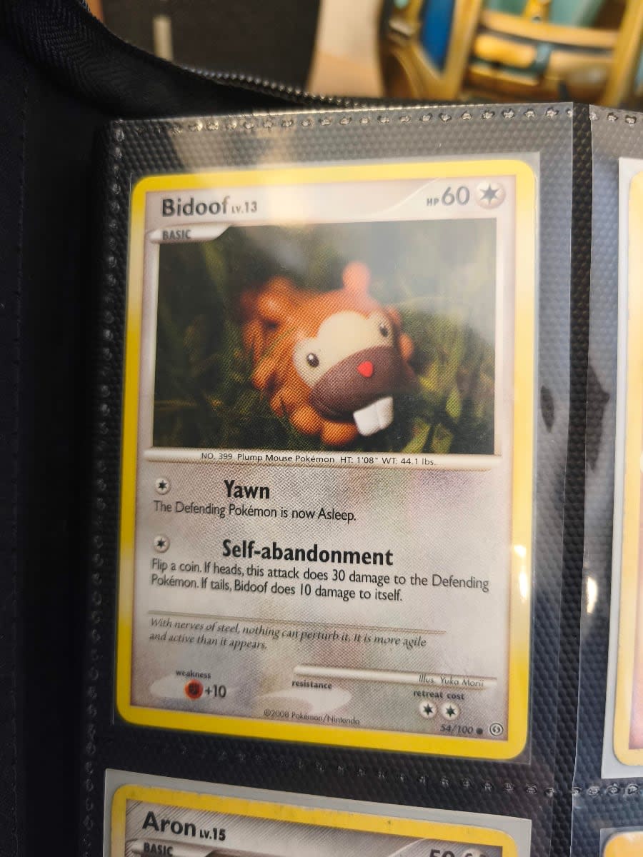 Bidoof - Stormfront