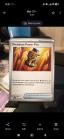 Premium Power Pro - Mega Evolution