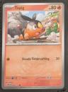 Tepig - Ascended Heroes