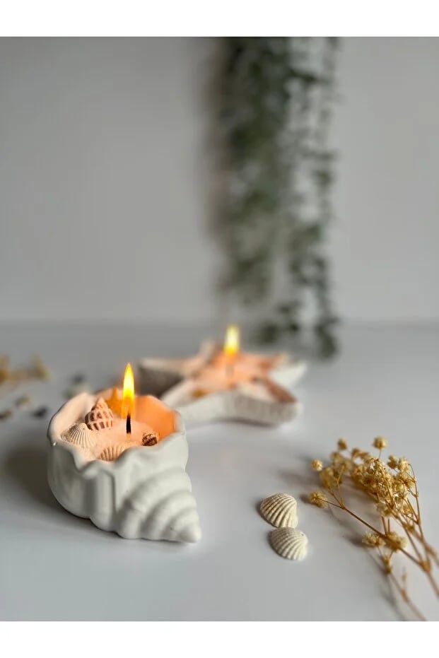 Deniz Kabuklu 2'li Set