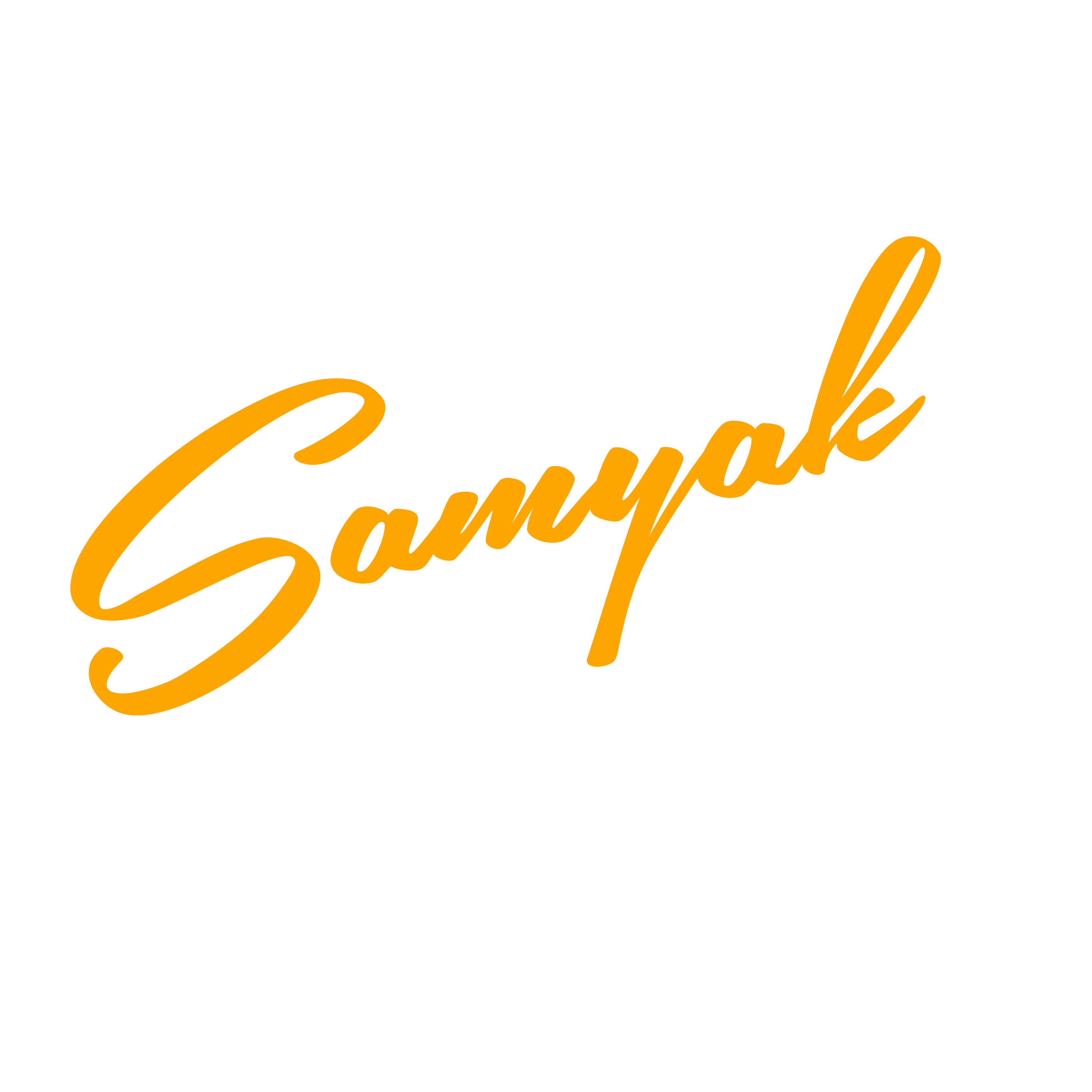 Signature of Samyak Negwal, Founder and CEO of Iconiq Consulting