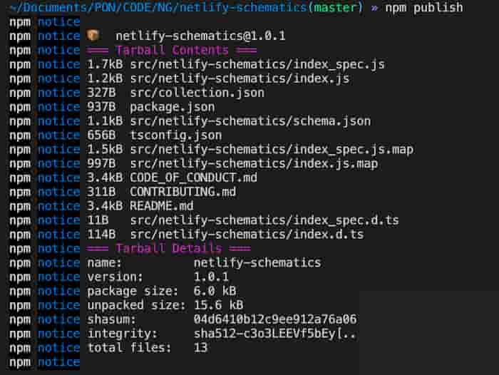 npm output when running npm publish