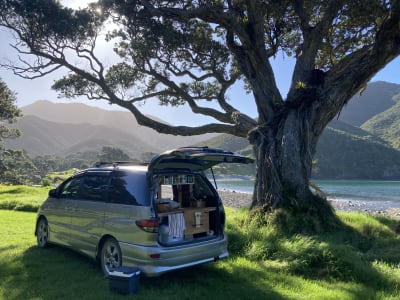 Beautifully Converted Toyota Estima 2005