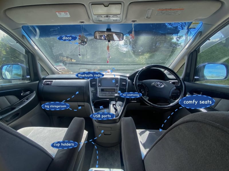 Toyota Alphard 1005 — photo 5