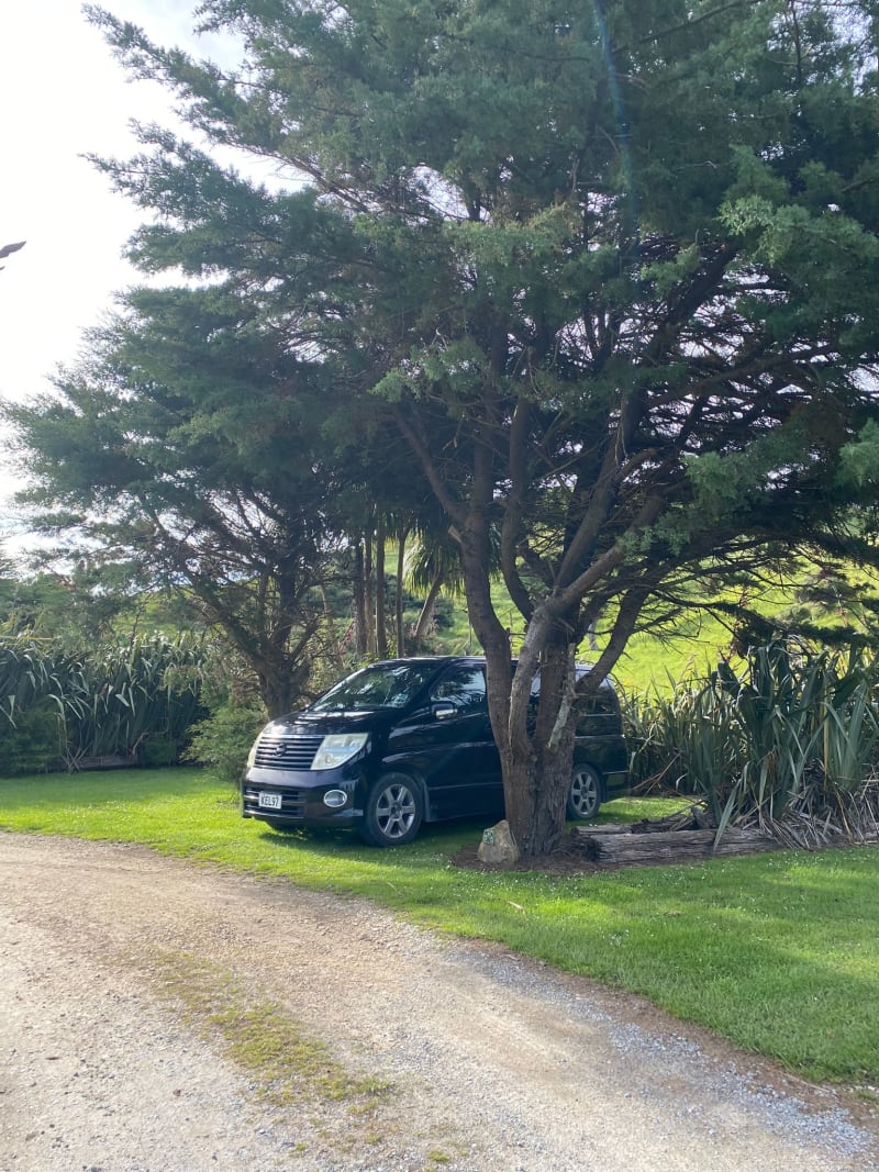 Nissan Elgrand 2005 — photo 1