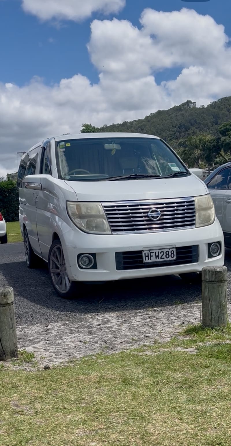 Nissal elgrand — photo 1