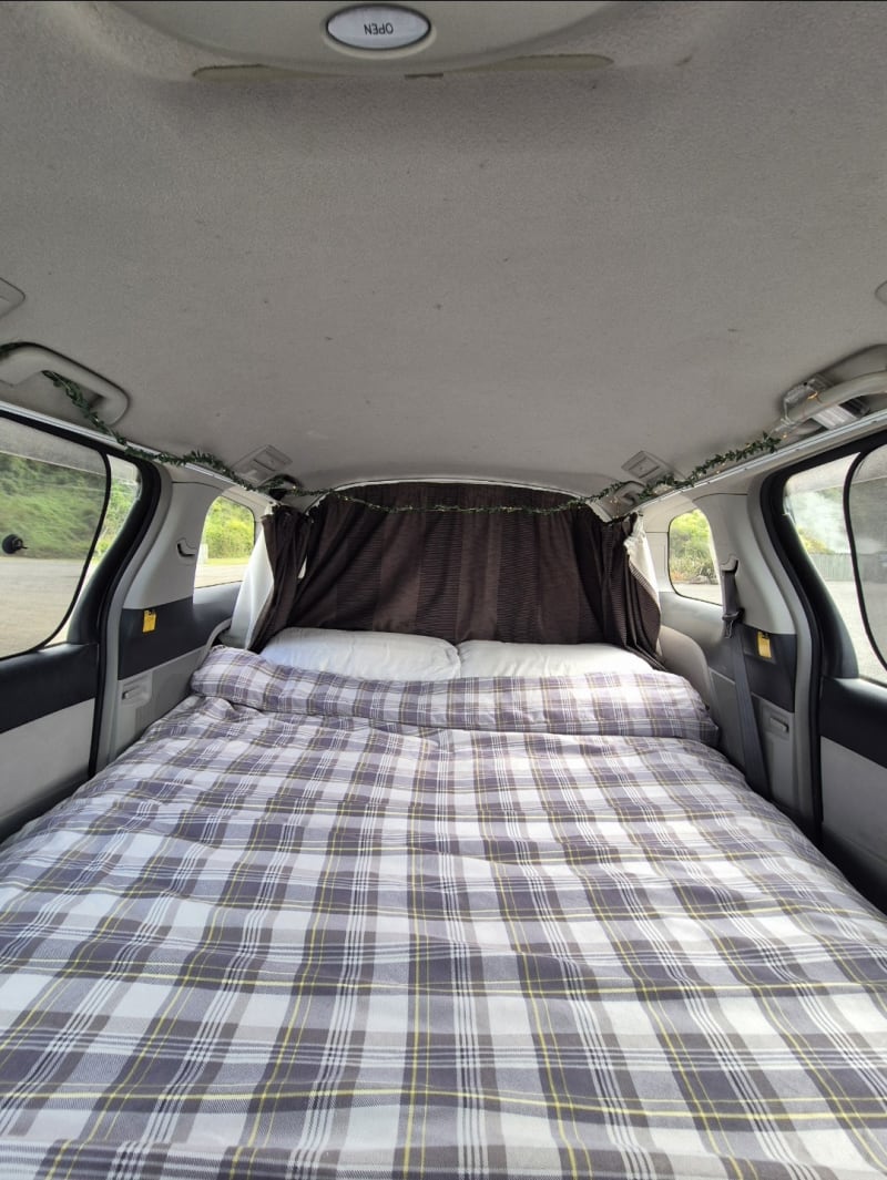 Toyota Estima Aeras 2006 Campervan Green Self-contained 🟩 — photo 3