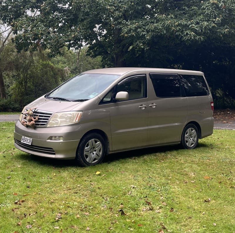 Toyota Alphard V (2004 — photo 1