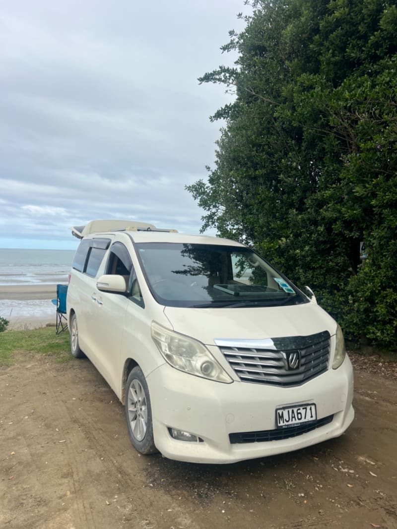 Toyota Alphard 2008 — photo 1
