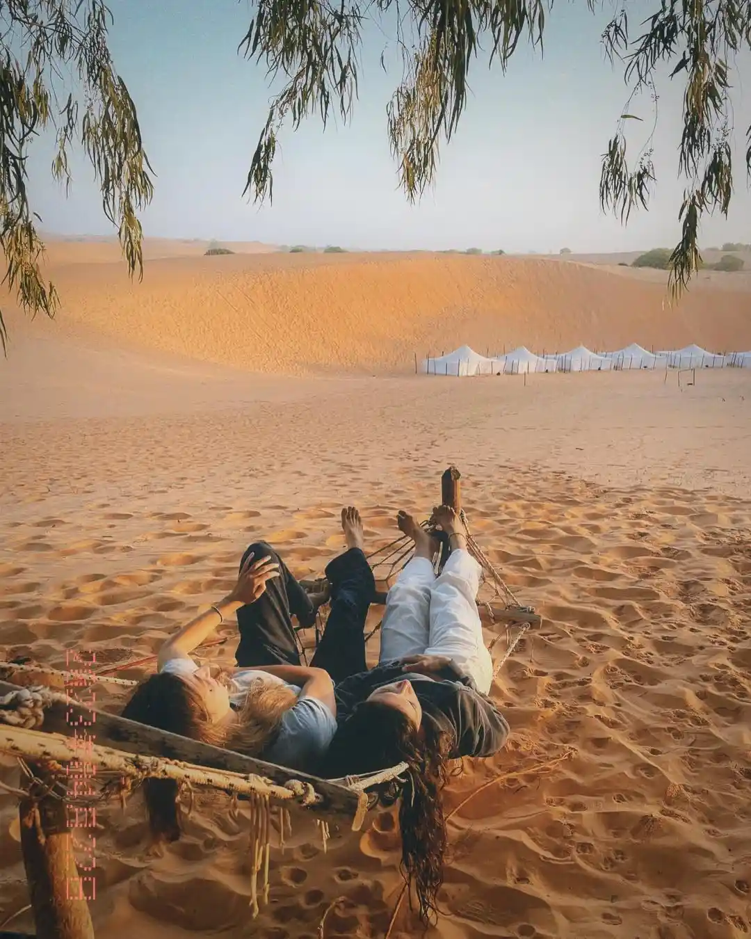 Grand Tour du Sénégal — 5 Jours de Dakar au Saloum - Sénégal