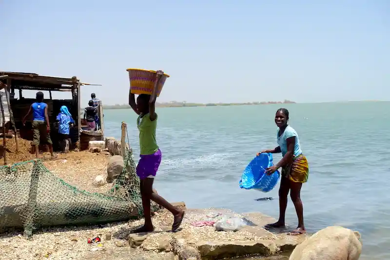 Joal-Fadiouth + Delta du Saloum — 2 Jours entre Coquillages et Mangrove - Joal-Fadiouth / Saloum