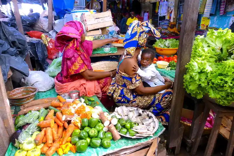 Casamance — 5 Jours au Sud du Sénégal - Casamance
