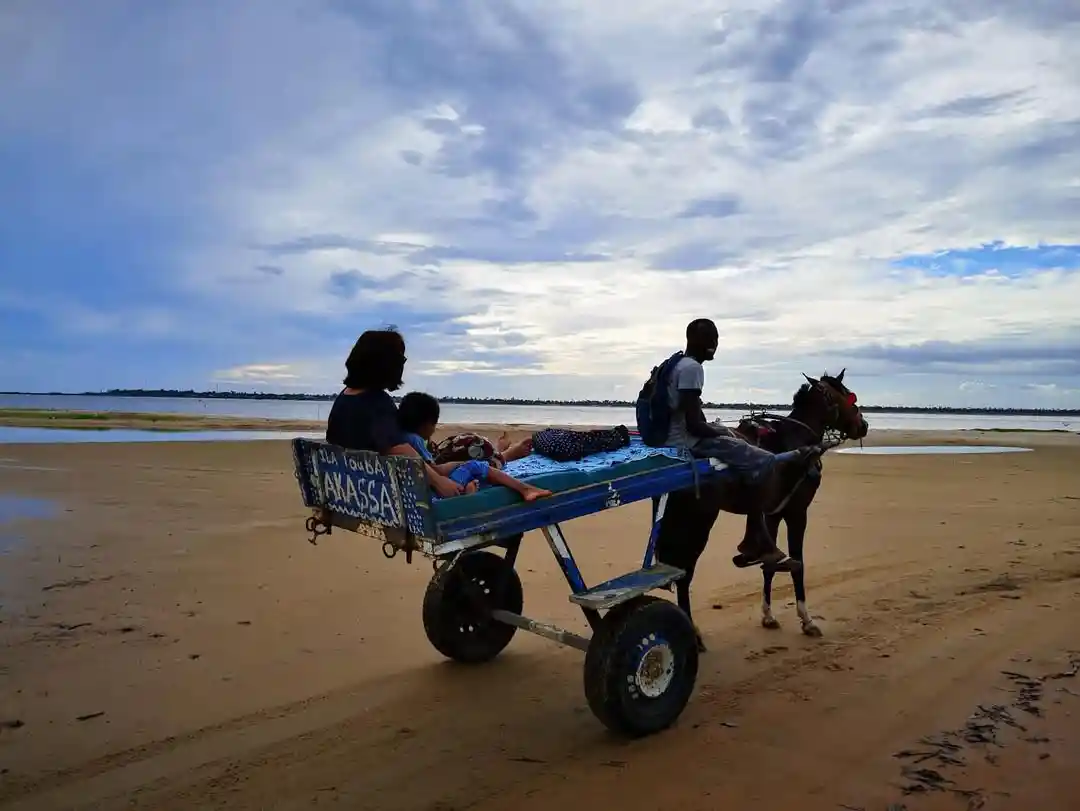 Joal-Fadiouth + Delta du Saloum — 2 Jours entre Coquillages et Mangrove - Joal-Fadiouth / Saloum