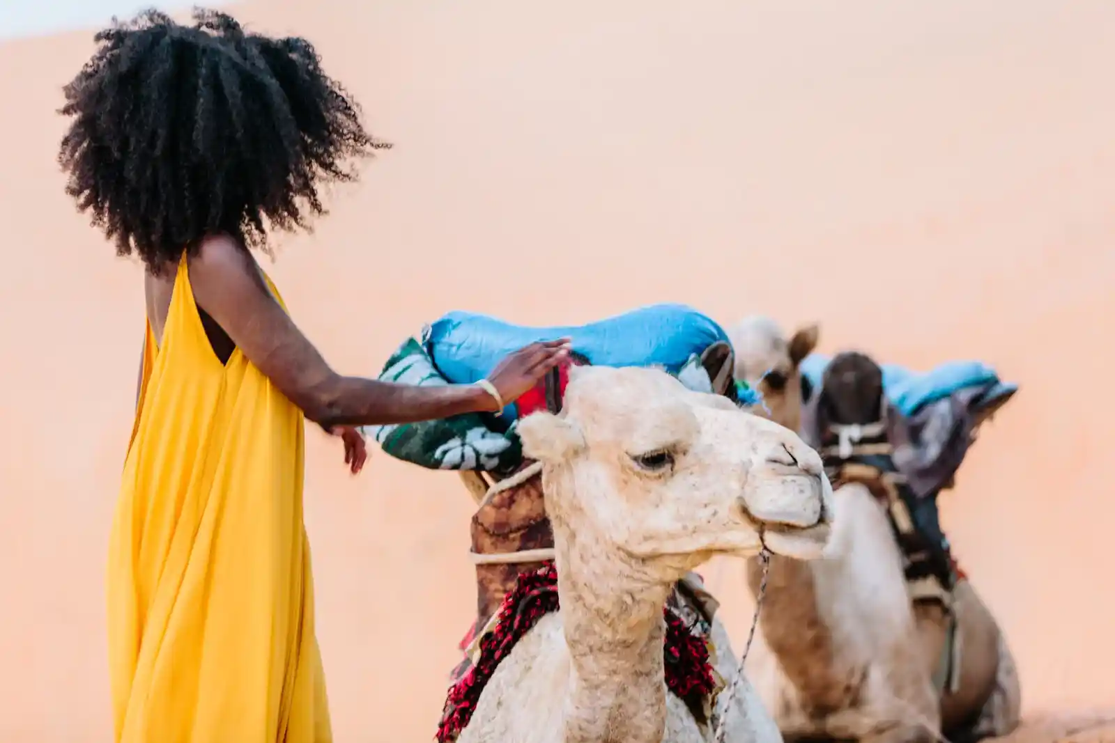 Lac Rose + Désert de Lompoul — 2 Jours entre Sel et Sable - Lac Rose / Lompoul