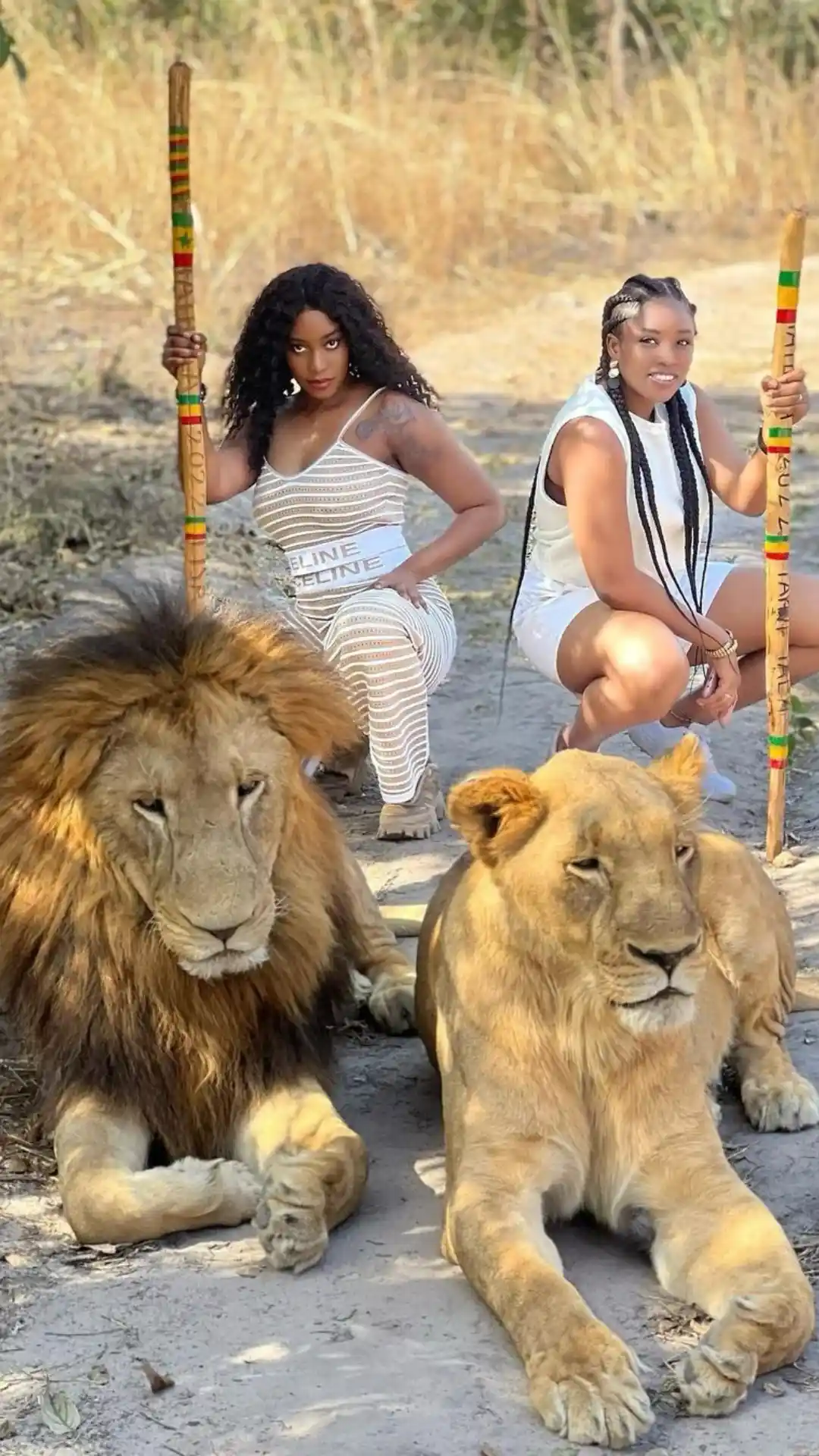 Fathala Wildlife Reserve Safari — Walk with Lions in the Sine-Saloum