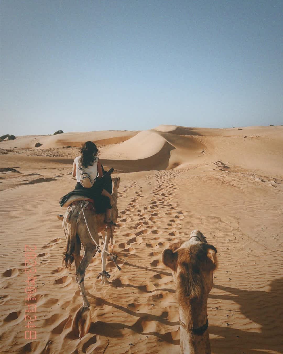 Désert de Lompoul depuis Dakar — Dromadaires & Dunes Dorées - Lompoul