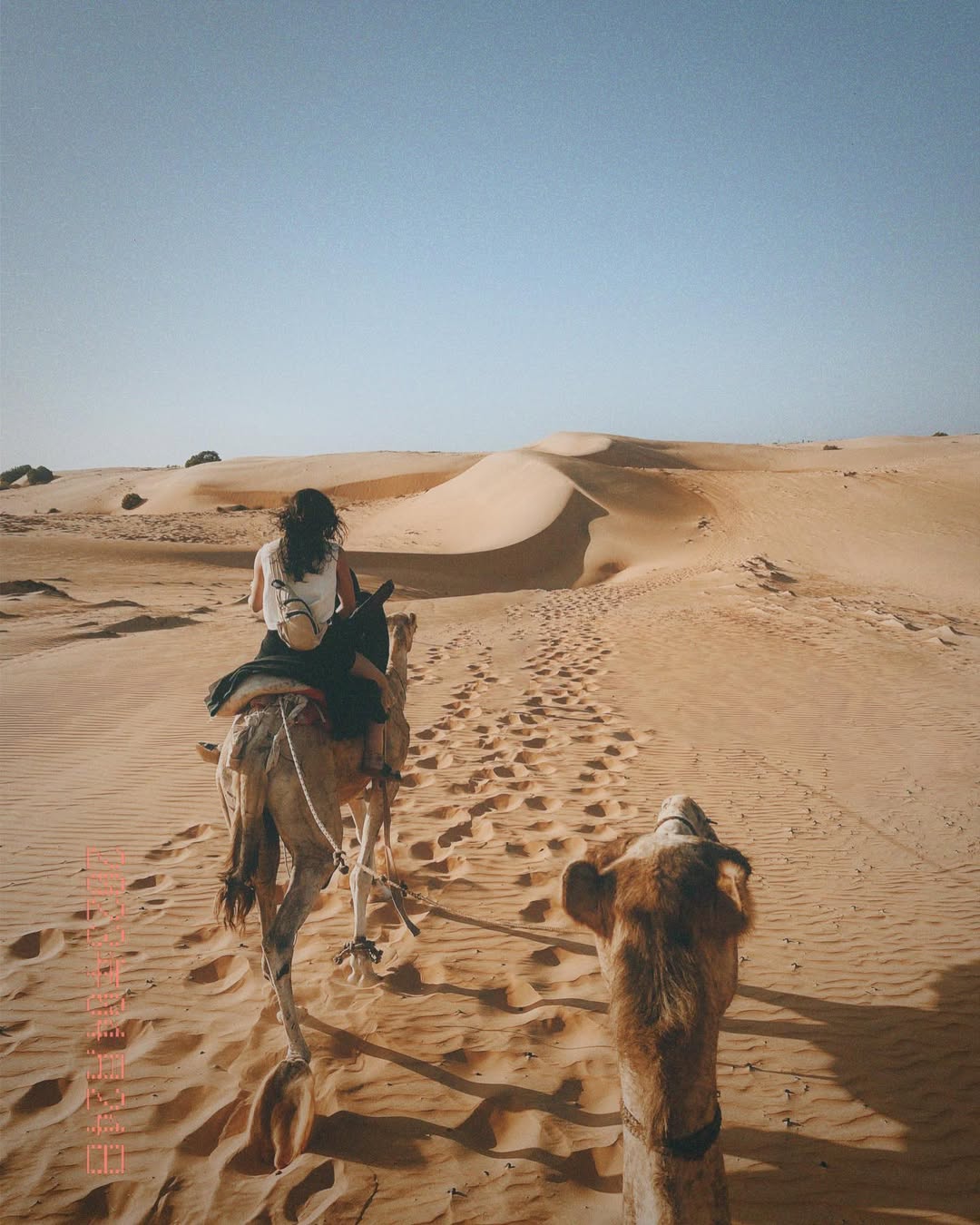 lompoul-desert-day-trip-from-dakar-camels-golden-dunes-safari-senegal