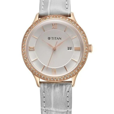 Titan Bright Leathers Quartz Analog watch