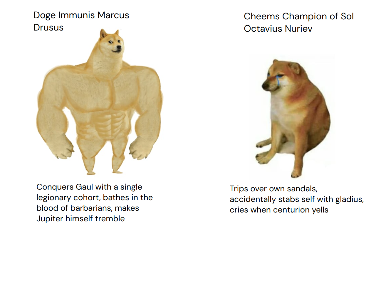 Output for the Glif "Doge vs Cheems Meme Generator"