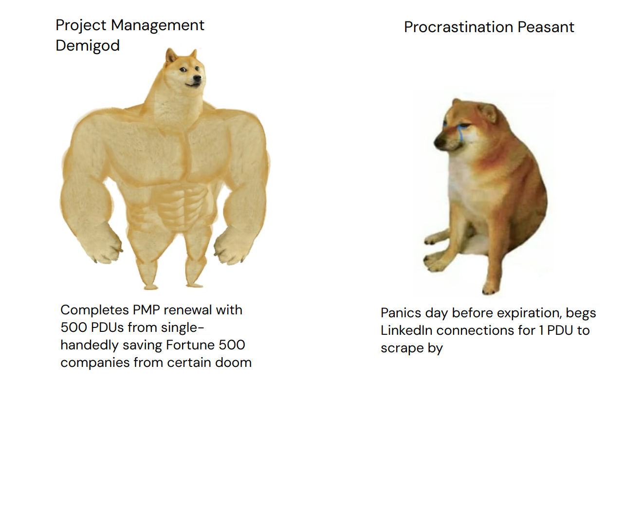 Output for the Glif "Doge vs Cheems Meme Generator"